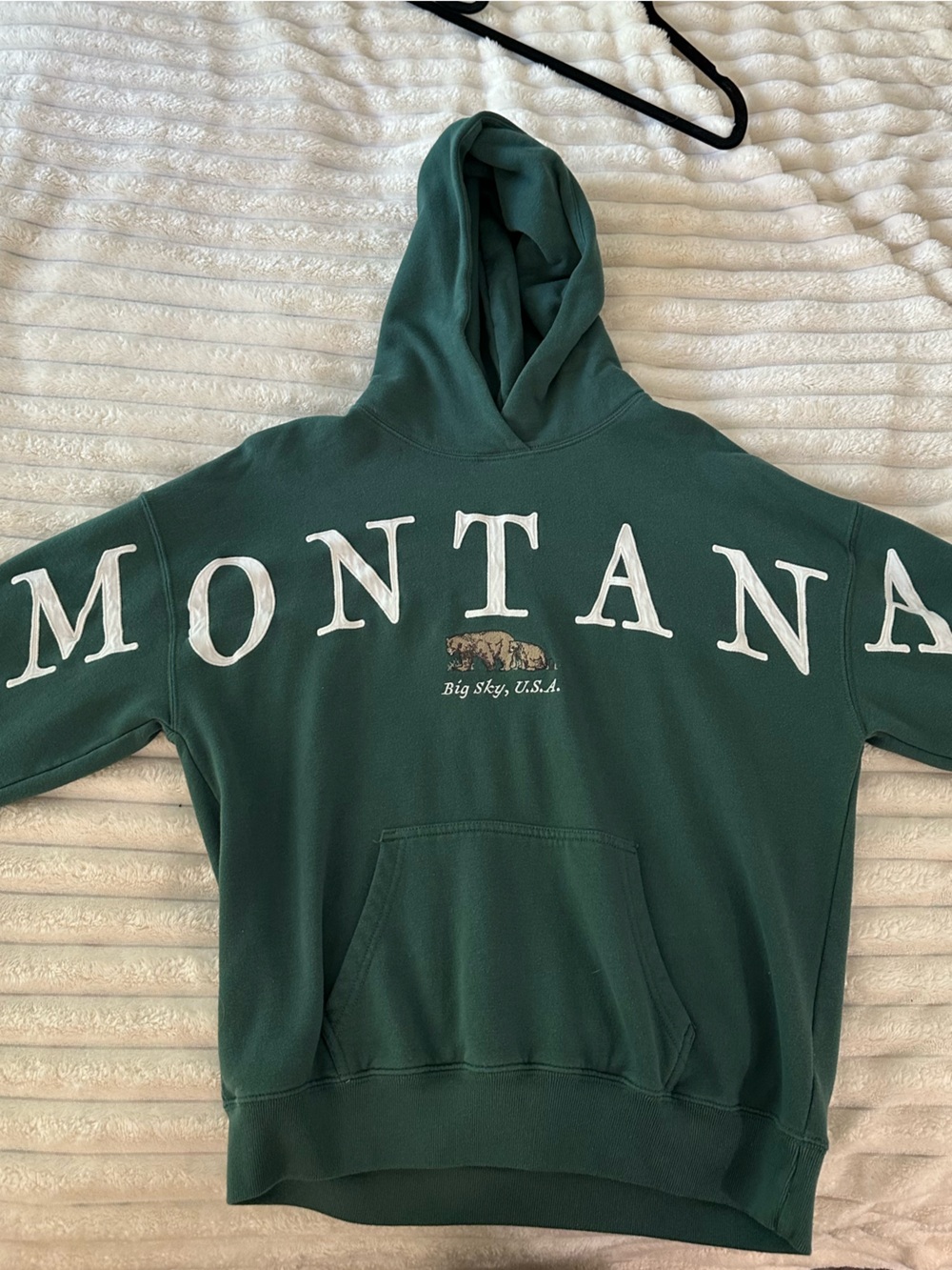 HOLLISTER Montana Green Hoodie  - XS